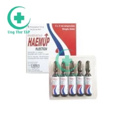 Haemup Injection Cadila - Thuốc bổ sung sắt qua đường uống